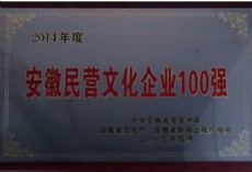 2014年度安徽民營文化企業(yè)100強
